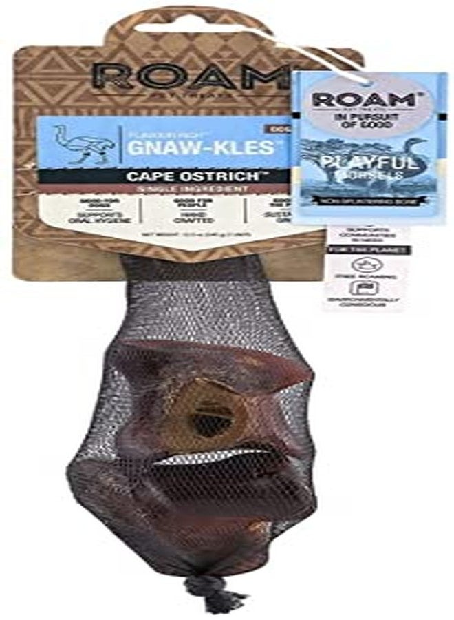ROAM PET TREATS Cape Ostrich Gnaw-kle Bone, 2 Small, Long-Lasting Single-Ingredient Dog Chew - Image 1
